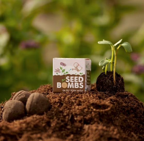 seed bombs