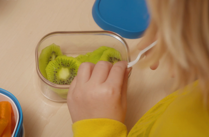 fruit box for lunch box