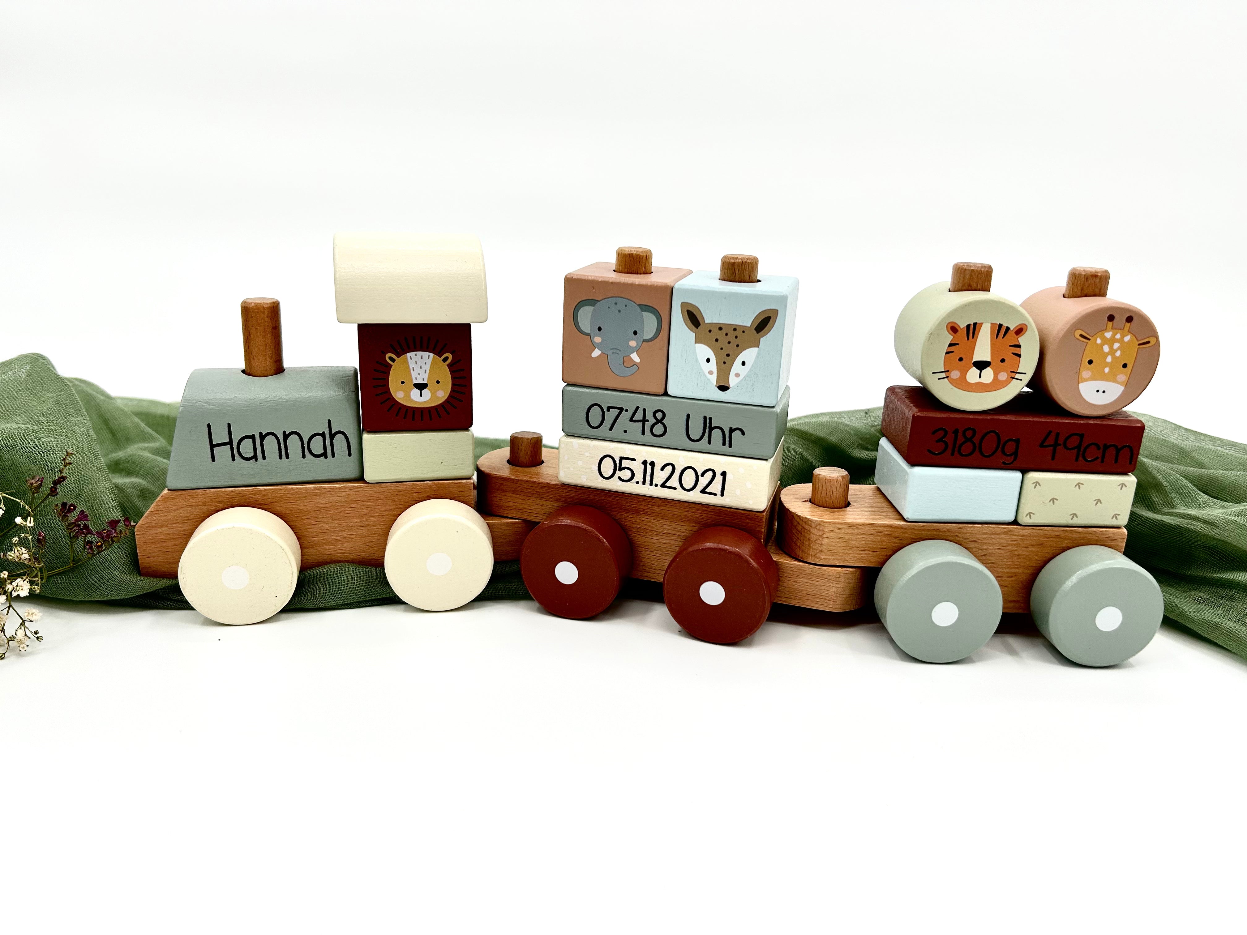 Birth Train Zoo Mint | Baby/Children's Wooden Train