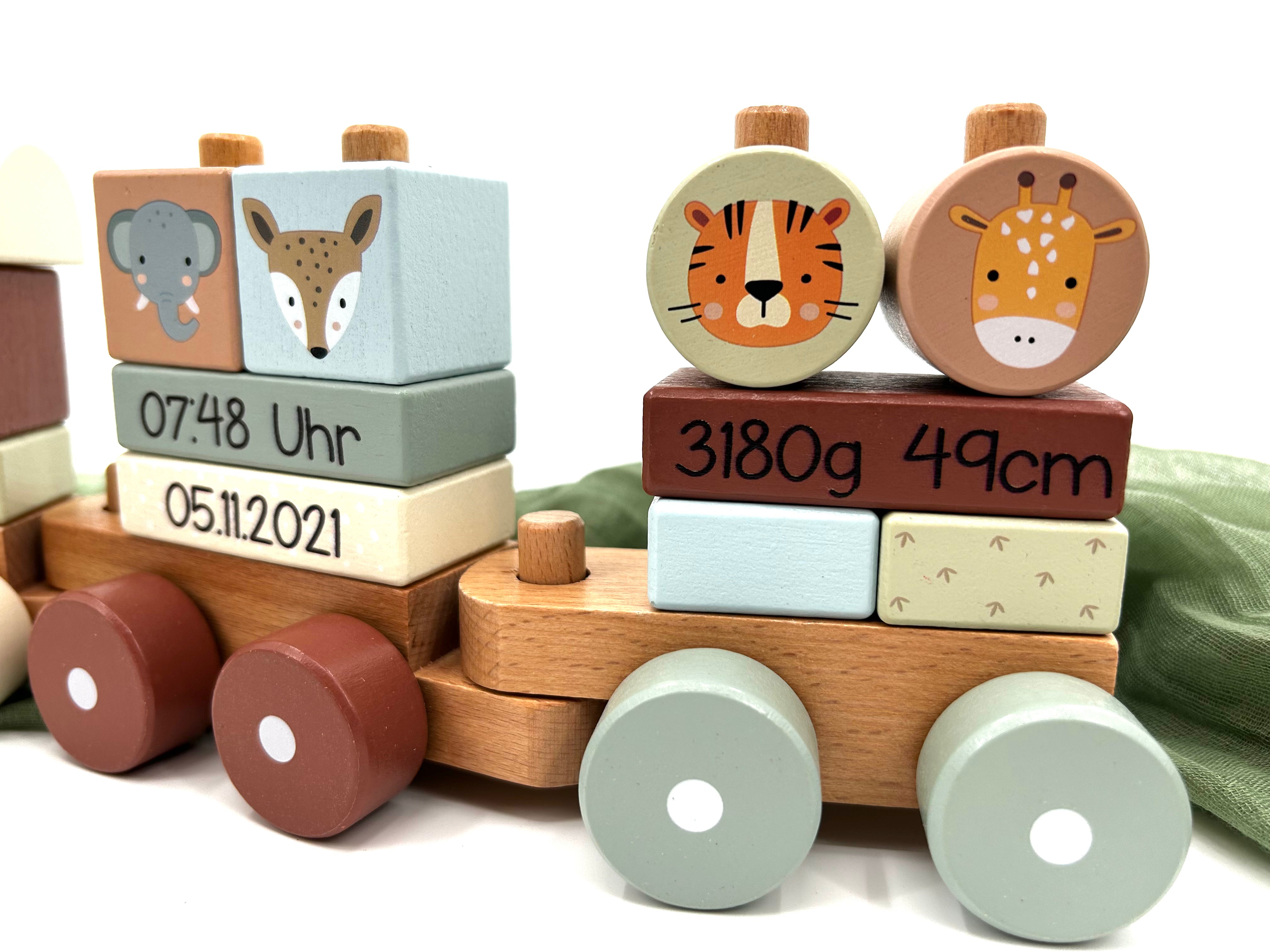 Birth Train Zoo Mint | Baby/Children's Wooden Train