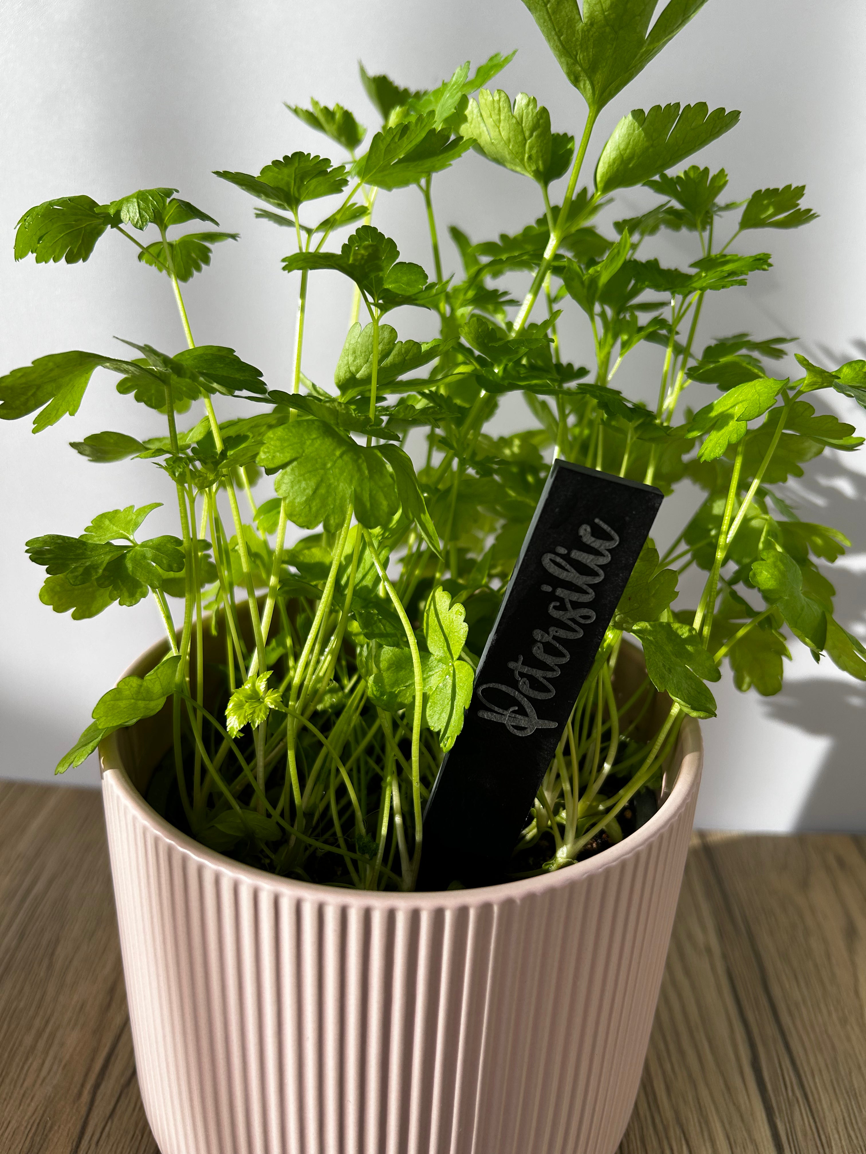 Slate plant sign | Garden stake 